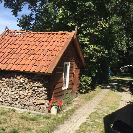 Landelijk Gelegen Huisje Op Erf Veeningen Εξωτερικό φωτογραφία