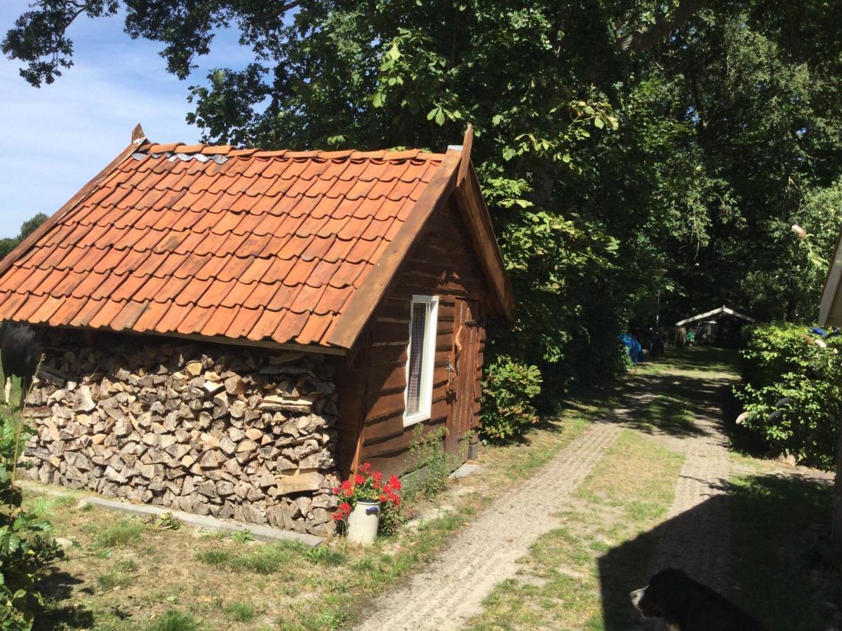 Landelijk Gelegen Huisje Op Erf Veeningen Εξωτερικό φωτογραφία