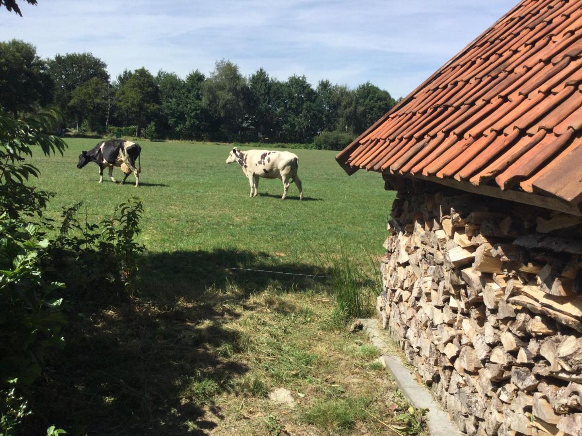 Landelijk Gelegen Huisje Op Erf Veeningen Εξωτερικό φωτογραφία
