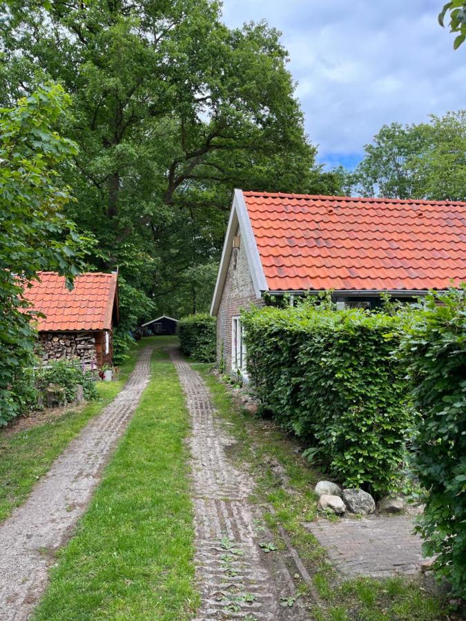 Landelijk Gelegen Huisje Op Erf Veeningen Εξωτερικό φωτογραφία